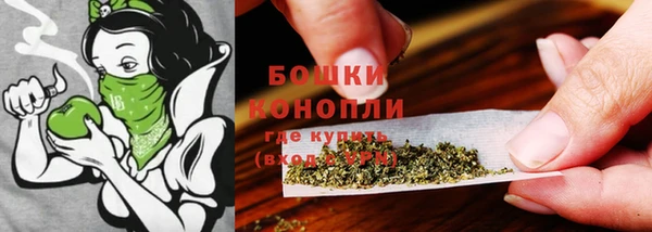 винт Гусев