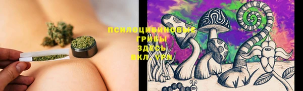 винт Гусев