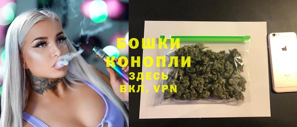 мдпв Гусь-Хрустальный