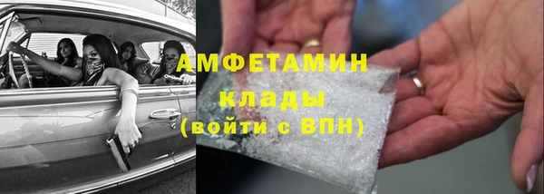 мдпв Гусь-Хрустальный