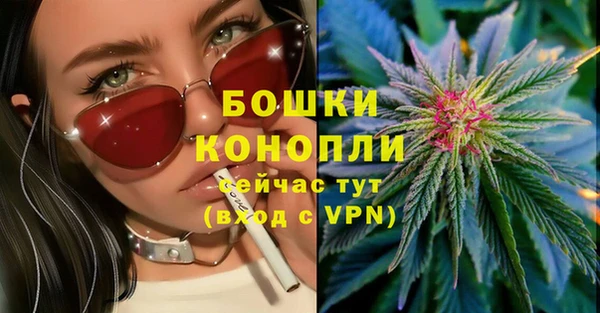 винт Гусев