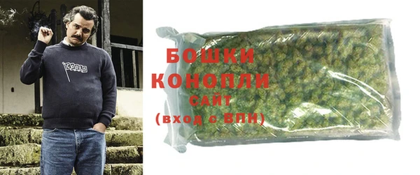 мдпв Гусь-Хрустальный