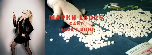 винт Гусев