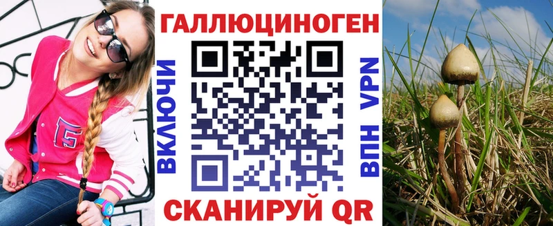 Купить где  Змеиногорск  Псилоцибиновые грибы GOLDEN TEACHER 